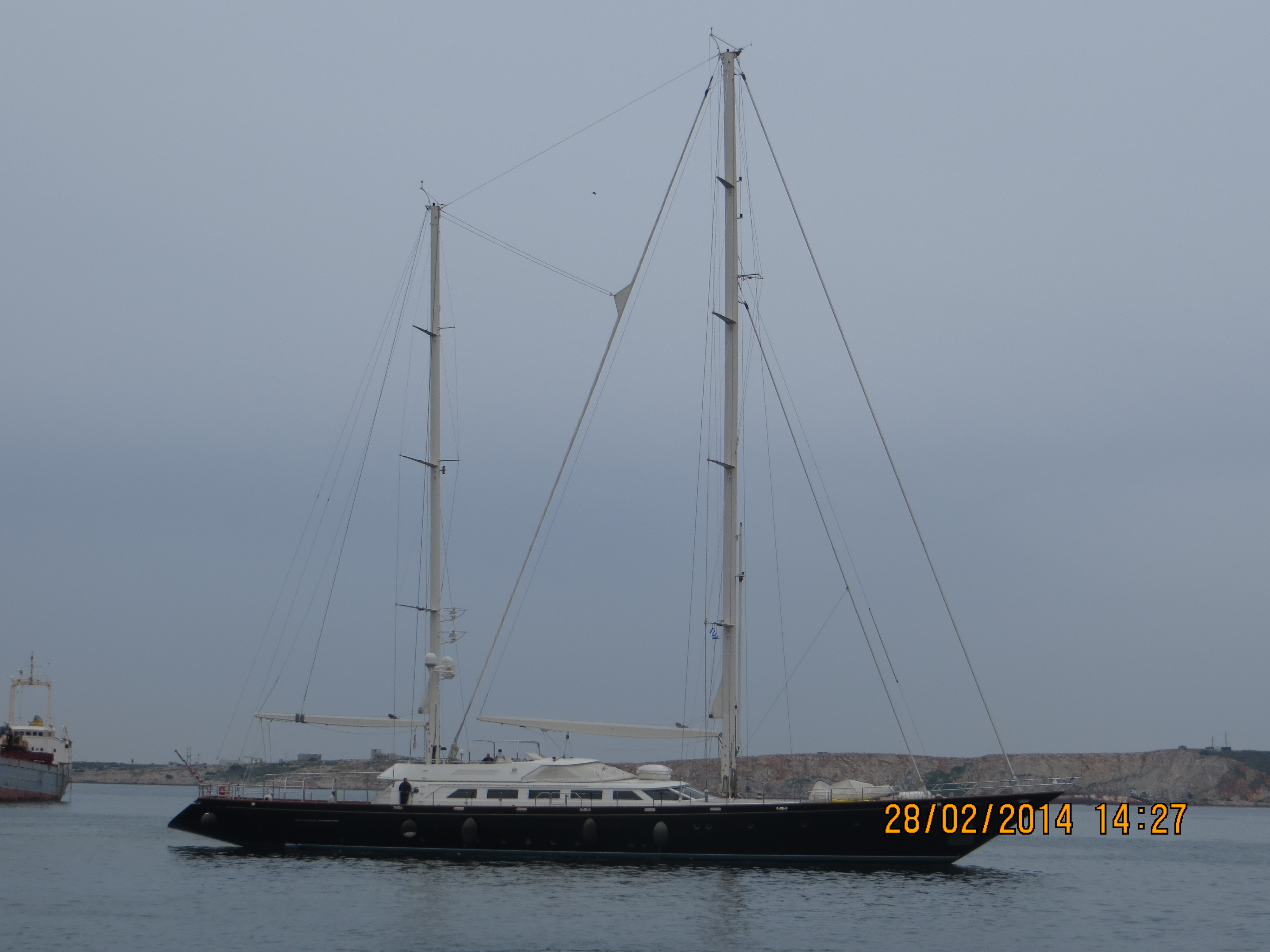 corelia in situ of masts